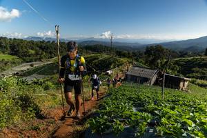 BIB: 
                            <button type="button" onclick="openModal(19198321)" class="btn btn-primary btn-sm float-right btn-popup" data-toggle="modal" data-target=".modal-high-quality">
                        <i class="fas fa-shopping-cart"></i> Add to Cart
                    </button>
                                            <button type="button" onclick="isThisMe(19198321, true)" class="btn btn-success btn-sm float-right btn-popup btn-isme hidden" data-toggle="tooltip" data-placement="bottom" title="นี่คือรูปของคุณใช่ไหม คลิกที่นี่เพื่อเอาเข้าอัลบั้ม">
                        <i class="fas fa-plus"></i> Add to album
                    </button>
                    <button type="button" onclick="isThisMe(19198321, false)" class="btn btn-warning btn-sm float-right btn-popup btn-isnotme hidden">
                        <i class="fas fa-ban"></i> Remove from album
                    </button>