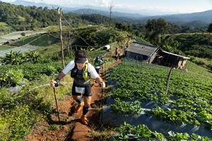 BIB: 
                            <button type="button" onclick="openModal(19200181)" class="btn btn-primary btn-sm float-right btn-popup" data-toggle="modal" data-target=".modal-high-quality">
                        <i class="fas fa-shopping-cart"></i> Add to Cart
                    </button>
                                            <button type="button" onclick="isThisMe(19200181, true)" class="btn btn-success btn-sm float-right btn-popup btn-isme hidden" data-toggle="tooltip" data-placement="bottom" title="นี่คือรูปของคุณใช่ไหม คลิกที่นี่เพื่อเอาเข้าอัลบั้ม">
                        <i class="fas fa-plus"></i> Add to album
                    </button>
                    <button type="button" onclick="isThisMe(19200181, false)" class="btn btn-warning btn-sm float-right btn-popup btn-isnotme hidden">
                        <i class="fas fa-ban"></i> Remove from album
                    </button>