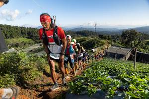 BIB: 9815
                            <button type="button" onclick="openModal(19197305)" class="btn btn-primary btn-sm float-right btn-popup" data-toggle="modal" data-target=".modal-high-quality">
                        <i class="fas fa-shopping-cart"></i> Add to Cart
                    </button>
                                            <button type="button" onclick="isThisMe(19197305, true)" class="btn btn-success btn-sm float-right btn-popup btn-isme hidden" data-toggle="tooltip" data-placement="bottom" title="นี่คือรูปของคุณใช่ไหม คลิกที่นี่เพื่อเอาเข้าอัลบั้ม">
                        <i class="fas fa-plus"></i> Add to album
                    </button>
                    <button type="button" onclick="isThisMe(19197305, false)" class="btn btn-warning btn-sm float-right btn-popup btn-isnotme hidden">
                        <i class="fas fa-ban"></i> Remove from album
                    </button>