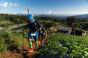 BIB: 
                            <button type="button" onclick="openModal(19199075)" class="btn btn-primary btn-sm float-right btn-popup" data-toggle="modal" data-target=".modal-high-quality">
                        <i class="fas fa-shopping-cart"></i> Add to Cart
                    </button>
                                            <button type="button" onclick="isThisMe(19199075, true)" class="btn btn-success btn-sm float-right btn-popup btn-isme hidden" data-toggle="tooltip" data-placement="bottom" title="นี่คือรูปของคุณใช่ไหม คลิกที่นี่เพื่อเอาเข้าอัลบั้ม">
                        <i class="fas fa-plus"></i> Add to album
                    </button>
                    <button type="button" onclick="isThisMe(19199075, false)" class="btn btn-warning btn-sm float-right btn-popup btn-isnotme hidden">
                        <i class="fas fa-ban"></i> Remove from album
                    </button>