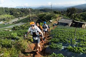 BIB: 
                            <button type="button" onclick="openModal(19200124)" class="btn btn-primary btn-sm float-right btn-popup" data-toggle="modal" data-target=".modal-high-quality">
                        <i class="fas fa-shopping-cart"></i> Add to Cart
                    </button>
                                            <button type="button" onclick="isThisMe(19200124, true)" class="btn btn-success btn-sm float-right btn-popup btn-isme hidden" data-toggle="tooltip" data-placement="bottom" title="นี่คือรูปของคุณใช่ไหม คลิกที่นี่เพื่อเอาเข้าอัลบั้ม">
                        <i class="fas fa-plus"></i> Add to album
                    </button>
                    <button type="button" onclick="isThisMe(19200124, false)" class="btn btn-warning btn-sm float-right btn-popup btn-isnotme hidden">
                        <i class="fas fa-ban"></i> Remove from album
                    </button>