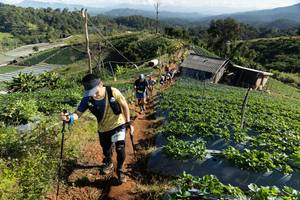 BIB: 
                            <button type="button" onclick="openModal(19200101)" class="btn btn-primary btn-sm float-right btn-popup" data-toggle="modal" data-target=".modal-high-quality">
                        <i class="fas fa-shopping-cart"></i> Add to Cart
                    </button>
                                            <button type="button" onclick="isThisMe(19200101, true)" class="btn btn-success btn-sm float-right btn-popup btn-isme hidden" data-toggle="tooltip" data-placement="bottom" title="นี่คือรูปของคุณใช่ไหม คลิกที่นี่เพื่อเอาเข้าอัลบั้ม">
                        <i class="fas fa-plus"></i> Add to album
                    </button>
                    <button type="button" onclick="isThisMe(19200101, false)" class="btn btn-warning btn-sm float-right btn-popup btn-isnotme hidden">
                        <i class="fas fa-ban"></i> Remove from album
                    </button>