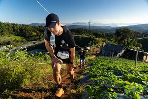 BIB: 9680
                            <button type="button" onclick="openModal(19174753)" class="btn btn-primary btn-sm float-right btn-popup" data-toggle="modal" data-target=".modal-high-quality">
                        <i class="fas fa-shopping-cart"></i> Add to Cart
                    </button>
                                            <button type="button" onclick="isThisMe(19174753, true)" class="btn btn-success btn-sm float-right btn-popup btn-isme hidden" data-toggle="tooltip" data-placement="bottom" title="นี่คือรูปของคุณใช่ไหม คลิกที่นี่เพื่อเอาเข้าอัลบั้ม">
                        <i class="fas fa-plus"></i> Add to album
                    </button>
                    <button type="button" onclick="isThisMe(19174753, false)" class="btn btn-warning btn-sm float-right btn-popup btn-isnotme hidden">
                        <i class="fas fa-ban"></i> Remove from album
                    </button>