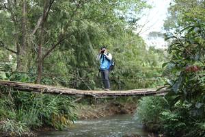 BIB: 
                            <button type="button" onclick="openModal(19208934)" class="btn btn-primary btn-sm float-right btn-popup" data-toggle="modal" data-target=".modal-high-quality">
                        <i class="fas fa-shopping-cart"></i> Add to Cart
                    </button>
                                            <button type="button" onclick="isThisMe(19208934, true)" class="btn btn-success btn-sm float-right btn-popup btn-isme hidden" data-toggle="tooltip" data-placement="bottom" title="นี่คือรูปของคุณใช่ไหม คลิกที่นี่เพื่อเอาเข้าอัลบั้ม">
                        <i class="fas fa-plus"></i> Add to album
                    </button>
                    <button type="button" onclick="isThisMe(19208934, false)" class="btn btn-warning btn-sm float-right btn-popup btn-isnotme hidden">
                        <i class="fas fa-ban"></i> Remove from album
                    </button>