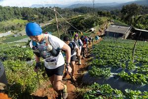 BIB: 9374
                            <button type="button" onclick="openModal(19200139)" class="btn btn-primary btn-sm float-right btn-popup" data-toggle="modal" data-target=".modal-high-quality">
                        <i class="fas fa-shopping-cart"></i> Add to Cart
                    </button>
                                            <button type="button" onclick="isThisMe(19200139, true)" class="btn btn-success btn-sm float-right btn-popup btn-isme hidden" data-toggle="tooltip" data-placement="bottom" title="นี่คือรูปของคุณใช่ไหม คลิกที่นี่เพื่อเอาเข้าอัลบั้ม">
                        <i class="fas fa-plus"></i> Add to album
                    </button>
                    <button type="button" onclick="isThisMe(19200139, false)" class="btn btn-warning btn-sm float-right btn-popup btn-isnotme hidden">
                        <i class="fas fa-ban"></i> Remove from album
                    </button>