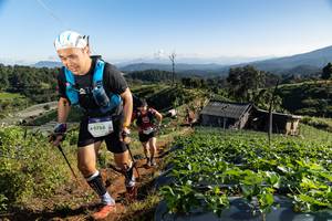 BIB: 9756
                            <button type="button" onclick="openModal(19195583)" class="btn btn-primary btn-sm float-right btn-popup" data-toggle="modal" data-target=".modal-high-quality">
                        <i class="fas fa-shopping-cart"></i> Add to Cart
                    </button>
                                            <button type="button" onclick="isThisMe(19195583, true)" class="btn btn-success btn-sm float-right btn-popup btn-isme hidden" data-toggle="tooltip" data-placement="bottom" title="นี่คือรูปของคุณใช่ไหม คลิกที่นี่เพื่อเอาเข้าอัลบั้ม">
                        <i class="fas fa-plus"></i> Add to album
                    </button>
                    <button type="button" onclick="isThisMe(19195583, false)" class="btn btn-warning btn-sm float-right btn-popup btn-isnotme hidden">
                        <i class="fas fa-ban"></i> Remove from album
                    </button>