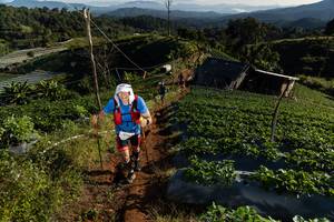 BIB: 479
                            <button type="button" onclick="openModal(19183203)" class="btn btn-primary btn-sm float-right btn-popup" data-toggle="modal" data-target=".modal-high-quality">
                        <i class="fas fa-shopping-cart"></i> Add to Cart
                    </button>
                                            <button type="button" onclick="isThisMe(19183203, true)" class="btn btn-success btn-sm float-right btn-popup btn-isme hidden" data-toggle="tooltip" data-placement="bottom" title="นี่คือรูปของคุณใช่ไหม คลิกที่นี่เพื่อเอาเข้าอัลบั้ม">
                        <i class="fas fa-plus"></i> Add to album
                    </button>
                    <button type="button" onclick="isThisMe(19183203, false)" class="btn btn-warning btn-sm float-right btn-popup btn-isnotme hidden">
                        <i class="fas fa-ban"></i> Remove from album
                    </button>