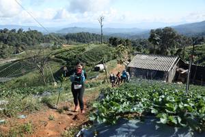 BIB: 
                            <button type="button" onclick="openModal(19201031)" class="btn btn-primary btn-sm float-right btn-popup" data-toggle="modal" data-target=".modal-high-quality">
                        <i class="fas fa-shopping-cart"></i> Add to Cart
                    </button>
                                            <button type="button" onclick="isThisMe(19201031, true)" class="btn btn-success btn-sm float-right btn-popup btn-isme hidden" data-toggle="tooltip" data-placement="bottom" title="นี่คือรูปของคุณใช่ไหม คลิกที่นี่เพื่อเอาเข้าอัลบั้ม">
                        <i class="fas fa-plus"></i> Add to album
                    </button>
                    <button type="button" onclick="isThisMe(19201031, false)" class="btn btn-warning btn-sm float-right btn-popup btn-isnotme hidden">
                        <i class="fas fa-ban"></i> Remove from album
                    </button>