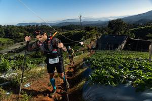 BIB: 9277
                            <button type="button" onclick="openModal(19182791)" class="btn btn-primary btn-sm float-right btn-popup" data-toggle="modal" data-target=".modal-high-quality">
                        <i class="fas fa-shopping-cart"></i> Add to Cart
                    </button>
                                            <button type="button" onclick="isThisMe(19182791, true)" class="btn btn-success btn-sm float-right btn-popup btn-isme hidden" data-toggle="tooltip" data-placement="bottom" title="นี่คือรูปของคุณใช่ไหม คลิกที่นี่เพื่อเอาเข้าอัลบั้ม">
                        <i class="fas fa-plus"></i> Add to album
                    </button>
                    <button type="button" onclick="isThisMe(19182791, false)" class="btn btn-warning btn-sm float-right btn-popup btn-isnotme hidden">
                        <i class="fas fa-ban"></i> Remove from album
                    </button>