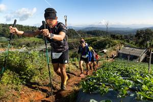 BIB: 9257
                            <button type="button" onclick="openModal(19197934)" class="btn btn-primary btn-sm float-right btn-popup" data-toggle="modal" data-target=".modal-high-quality">
                        <i class="fas fa-shopping-cart"></i> Add to Cart
                    </button>
                                            <button type="button" onclick="isThisMe(19197934, true)" class="btn btn-success btn-sm float-right btn-popup btn-isme hidden" data-toggle="tooltip" data-placement="bottom" title="นี่คือรูปของคุณใช่ไหม คลิกที่นี่เพื่อเอาเข้าอัลบั้ม">
                        <i class="fas fa-plus"></i> Add to album
                    </button>
                    <button type="button" onclick="isThisMe(19197934, false)" class="btn btn-warning btn-sm float-right btn-popup btn-isnotme hidden">
                        <i class="fas fa-ban"></i> Remove from album
                    </button>