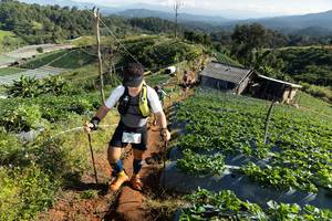 BIB: 
                            <button type="button" onclick="openModal(19200191)" class="btn btn-primary btn-sm float-right btn-popup" data-toggle="modal" data-target=".modal-high-quality">
                        <i class="fas fa-shopping-cart"></i> Add to Cart
                    </button>
                                            <button type="button" onclick="isThisMe(19200191, true)" class="btn btn-success btn-sm float-right btn-popup btn-isme hidden" data-toggle="tooltip" data-placement="bottom" title="นี่คือรูปของคุณใช่ไหม คลิกที่นี่เพื่อเอาเข้าอัลบั้ม">
                        <i class="fas fa-plus"></i> Add to album
                    </button>
                    <button type="button" onclick="isThisMe(19200191, false)" class="btn btn-warning btn-sm float-right btn-popup btn-isnotme hidden">
                        <i class="fas fa-ban"></i> Remove from album
                    </button>