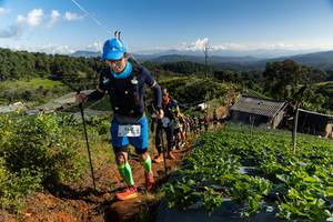 BIB: 9421
                            <button type="button" onclick="openModal(19199050)" class="btn btn-primary btn-sm float-right btn-popup" data-toggle="modal" data-target=".modal-high-quality">
                        <i class="fas fa-shopping-cart"></i> Add to Cart
                    </button>
                                            <button type="button" onclick="isThisMe(19199050, true)" class="btn btn-success btn-sm float-right btn-popup btn-isme hidden" data-toggle="tooltip" data-placement="bottom" title="นี่คือรูปของคุณใช่ไหม คลิกที่นี่เพื่อเอาเข้าอัลบั้ม">
                        <i class="fas fa-plus"></i> Add to album
                    </button>
                    <button type="button" onclick="isThisMe(19199050, false)" class="btn btn-warning btn-sm float-right btn-popup btn-isnotme hidden">
                        <i class="fas fa-ban"></i> Remove from album
                    </button>