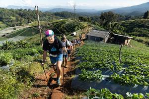 BIB: 
                            <button type="button" onclick="openModal(19200112)" class="btn btn-primary btn-sm float-right btn-popup" data-toggle="modal" data-target=".modal-high-quality">
                        <i class="fas fa-shopping-cart"></i> Add to Cart
                    </button>
                                            <button type="button" onclick="isThisMe(19200112, true)" class="btn btn-success btn-sm float-right btn-popup btn-isme hidden" data-toggle="tooltip" data-placement="bottom" title="นี่คือรูปของคุณใช่ไหม คลิกที่นี่เพื่อเอาเข้าอัลบั้ม">
                        <i class="fas fa-plus"></i> Add to album
                    </button>
                    <button type="button" onclick="isThisMe(19200112, false)" class="btn btn-warning btn-sm float-right btn-popup btn-isnotme hidden">
                        <i class="fas fa-ban"></i> Remove from album
                    </button>