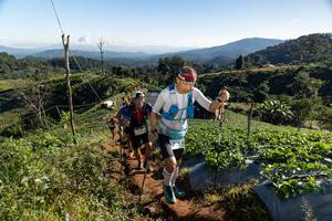 BIB: 
                            <button type="button" onclick="openModal(19196846)" class="btn btn-primary btn-sm float-right btn-popup" data-toggle="modal" data-target=".modal-high-quality">
                        <i class="fas fa-shopping-cart"></i> Add to Cart
                    </button>
                                            <button type="button" onclick="isThisMe(19196846, true)" class="btn btn-success btn-sm float-right btn-popup btn-isme hidden" data-toggle="tooltip" data-placement="bottom" title="นี่คือรูปของคุณใช่ไหม คลิกที่นี่เพื่อเอาเข้าอัลบั้ม">
                        <i class="fas fa-plus"></i> Add to album
                    </button>
                    <button type="button" onclick="isThisMe(19196846, false)" class="btn btn-warning btn-sm float-right btn-popup btn-isnotme hidden">
                        <i class="fas fa-ban"></i> Remove from album
                    </button>