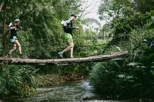 BIB: 
                            <button type="button" onclick="openModal(19210719)" class="btn btn-primary btn-sm float-right btn-popup" data-toggle="modal" data-target=".modal-high-quality">
                        <i class="fas fa-shopping-cart"></i> Add to Cart
                    </button>
                                            <button type="button" onclick="isThisMe(19210719, true)" class="btn btn-success btn-sm float-right btn-popup btn-isme hidden" data-toggle="tooltip" data-placement="bottom" title="นี่คือรูปของคุณใช่ไหม คลิกที่นี่เพื่อเอาเข้าอัลบั้ม">
                        <i class="fas fa-plus"></i> Add to album
                    </button>
                    <button type="button" onclick="isThisMe(19210719, false)" class="btn btn-warning btn-sm float-right btn-popup btn-isnotme hidden">
                        <i class="fas fa-ban"></i> Remove from album
                    </button>