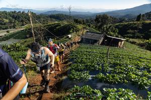 BIB: 
                            <button type="button" onclick="openModal(19195451)" class="btn btn-primary btn-sm float-right btn-popup" data-toggle="modal" data-target=".modal-high-quality">
                        <i class="fas fa-shopping-cart"></i> Add to Cart
                    </button>
                                            <button type="button" onclick="isThisMe(19195451, true)" class="btn btn-success btn-sm float-right btn-popup btn-isme hidden" data-toggle="tooltip" data-placement="bottom" title="นี่คือรูปของคุณใช่ไหม คลิกที่นี่เพื่อเอาเข้าอัลบั้ม">
                        <i class="fas fa-plus"></i> Add to album
                    </button>
                    <button type="button" onclick="isThisMe(19195451, false)" class="btn btn-warning btn-sm float-right btn-popup btn-isnotme hidden">
                        <i class="fas fa-ban"></i> Remove from album
                    </button>