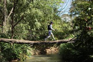 BIB: 
                            <button type="button" onclick="openModal(19209461)" class="btn btn-primary btn-sm float-right btn-popup" data-toggle="modal" data-target=".modal-high-quality">
                        <i class="fas fa-shopping-cart"></i> Add to Cart
                    </button>
                                            <button type="button" onclick="isThisMe(19209461, true)" class="btn btn-success btn-sm float-right btn-popup btn-isme hidden" data-toggle="tooltip" data-placement="bottom" title="นี่คือรูปของคุณใช่ไหม คลิกที่นี่เพื่อเอาเข้าอัลบั้ม">
                        <i class="fas fa-plus"></i> Add to album
                    </button>
                    <button type="button" onclick="isThisMe(19209461, false)" class="btn btn-warning btn-sm float-right btn-popup btn-isnotme hidden">
                        <i class="fas fa-ban"></i> Remove from album
                    </button>