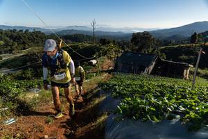 BIB: 
                            <button type="button" onclick="openModal(19183038)" class="btn btn-primary btn-sm float-right btn-popup" data-toggle="modal" data-target=".modal-high-quality">
                        <i class="fas fa-shopping-cart"></i> Add to Cart
                    </button>
                                            <button type="button" onclick="isThisMe(19183038, true)" class="btn btn-success btn-sm float-right btn-popup btn-isme hidden" data-toggle="tooltip" data-placement="bottom" title="นี่คือรูปของคุณใช่ไหม คลิกที่นี่เพื่อเอาเข้าอัลบั้ม">
                        <i class="fas fa-plus"></i> Add to album
                    </button>
                    <button type="button" onclick="isThisMe(19183038, false)" class="btn btn-warning btn-sm float-right btn-popup btn-isnotme hidden">
                        <i class="fas fa-ban"></i> Remove from album
                    </button>