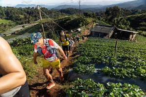 BIB: 
                            <button type="button" onclick="openModal(19195458)" class="btn btn-primary btn-sm float-right btn-popup" data-toggle="modal" data-target=".modal-high-quality">
                        <i class="fas fa-shopping-cart"></i> Add to Cart
                    </button>
                                            <button type="button" onclick="isThisMe(19195458, true)" class="btn btn-success btn-sm float-right btn-popup btn-isme hidden" data-toggle="tooltip" data-placement="bottom" title="นี่คือรูปของคุณใช่ไหม คลิกที่นี่เพื่อเอาเข้าอัลบั้ม">
                        <i class="fas fa-plus"></i> Add to album
                    </button>
                    <button type="button" onclick="isThisMe(19195458, false)" class="btn btn-warning btn-sm float-right btn-popup btn-isnotme hidden">
                        <i class="fas fa-ban"></i> Remove from album
                    </button>