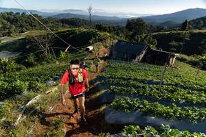 BIB: 
                            <button type="button" onclick="openModal(19180249)" class="btn btn-primary btn-sm float-right btn-popup" data-toggle="modal" data-target=".modal-high-quality">
                        <i class="fas fa-shopping-cart"></i> Add to Cart
                    </button>
                                            <button type="button" onclick="isThisMe(19180249, true)" class="btn btn-success btn-sm float-right btn-popup btn-isme hidden" data-toggle="tooltip" data-placement="bottom" title="นี่คือรูปของคุณใช่ไหม คลิกที่นี่เพื่อเอาเข้าอัลบั้ม">
                        <i class="fas fa-plus"></i> Add to album
                    </button>
                    <button type="button" onclick="isThisMe(19180249, false)" class="btn btn-warning btn-sm float-right btn-popup btn-isnotme hidden">
                        <i class="fas fa-ban"></i> Remove from album
                    </button>