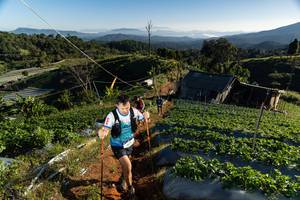 BIB: 
                            <button type="button" onclick="openModal(19180168)" class="btn btn-primary btn-sm float-right btn-popup" data-toggle="modal" data-target=".modal-high-quality">
                        <i class="fas fa-shopping-cart"></i> Add to Cart
                    </button>
                                            <button type="button" onclick="isThisMe(19180168, true)" class="btn btn-success btn-sm float-right btn-popup btn-isme hidden" data-toggle="tooltip" data-placement="bottom" title="นี่คือรูปของคุณใช่ไหม คลิกที่นี่เพื่อเอาเข้าอัลบั้ม">
                        <i class="fas fa-plus"></i> Add to album
                    </button>
                    <button type="button" onclick="isThisMe(19180168, false)" class="btn btn-warning btn-sm float-right btn-popup btn-isnotme hidden">
                        <i class="fas fa-ban"></i> Remove from album
                    </button>