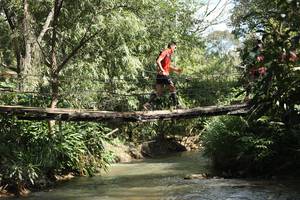 BIB: 
                            <button type="button" onclick="openModal(19211733)" class="btn btn-primary btn-sm float-right btn-popup" data-toggle="modal" data-target=".modal-high-quality">
                        <i class="fas fa-shopping-cart"></i> Add to Cart
                    </button>
                                            <button type="button" onclick="isThisMe(19211733, true)" class="btn btn-success btn-sm float-right btn-popup btn-isme hidden" data-toggle="tooltip" data-placement="bottom" title="นี่คือรูปของคุณใช่ไหม คลิกที่นี่เพื่อเอาเข้าอัลบั้ม">
                        <i class="fas fa-plus"></i> Add to album
                    </button>
                    <button type="button" onclick="isThisMe(19211733, false)" class="btn btn-warning btn-sm float-right btn-popup btn-isnotme hidden">
                        <i class="fas fa-ban"></i> Remove from album
                    </button>