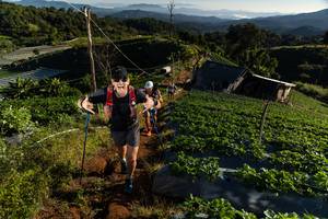 BIB: 
                            <button type="button" onclick="openModal(19175950)" class="btn btn-primary btn-sm float-right btn-popup" data-toggle="modal" data-target=".modal-high-quality">
                        <i class="fas fa-shopping-cart"></i> Add to Cart
                    </button>
                                            <button type="button" onclick="isThisMe(19175950, true)" class="btn btn-success btn-sm float-right btn-popup btn-isme hidden" data-toggle="tooltip" data-placement="bottom" title="นี่คือรูปของคุณใช่ไหม คลิกที่นี่เพื่อเอาเข้าอัลบั้ม">
                        <i class="fas fa-plus"></i> Add to album
                    </button>
                    <button type="button" onclick="isThisMe(19175950, false)" class="btn btn-warning btn-sm float-right btn-popup btn-isnotme hidden">
                        <i class="fas fa-ban"></i> Remove from album
                    </button>