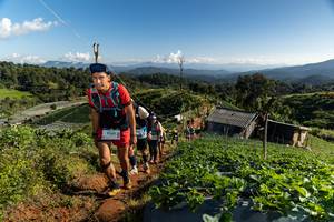 BIB: 9260
                            <button type="button" onclick="openModal(19198732)" class="btn btn-primary btn-sm float-right btn-popup" data-toggle="modal" data-target=".modal-high-quality">
                        <i class="fas fa-shopping-cart"></i> Add to Cart
                    </button>
                                            <button type="button" onclick="isThisMe(19198732, true)" class="btn btn-success btn-sm float-right btn-popup btn-isme hidden" data-toggle="tooltip" data-placement="bottom" title="นี่คือรูปของคุณใช่ไหม คลิกที่นี่เพื่อเอาเข้าอัลบั้ม">
                        <i class="fas fa-plus"></i> Add to album
                    </button>
                    <button type="button" onclick="isThisMe(19198732, false)" class="btn btn-warning btn-sm float-right btn-popup btn-isnotme hidden">
                        <i class="fas fa-ban"></i> Remove from album
                    </button>