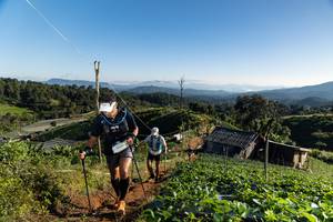 BIB: 
                            <button type="button" onclick="openModal(19194324)" class="btn btn-primary btn-sm float-right btn-popup" data-toggle="modal" data-target=".modal-high-quality">
                        <i class="fas fa-shopping-cart"></i> Add to Cart
                    </button>
                                            <button type="button" onclick="isThisMe(19194324, true)" class="btn btn-success btn-sm float-right btn-popup btn-isme hidden" data-toggle="tooltip" data-placement="bottom" title="นี่คือรูปของคุณใช่ไหม คลิกที่นี่เพื่อเอาเข้าอัลบั้ม">
                        <i class="fas fa-plus"></i> Add to album
                    </button>
                    <button type="button" onclick="isThisMe(19194324, false)" class="btn btn-warning btn-sm float-right btn-popup btn-isnotme hidden">
                        <i class="fas fa-ban"></i> Remove from album
                    </button>