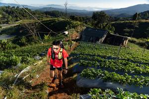 BIB: 
                            <button type="button" onclick="openModal(19180462)" class="btn btn-primary btn-sm float-right btn-popup" data-toggle="modal" data-target=".modal-high-quality">
                        <i class="fas fa-shopping-cart"></i> Add to Cart
                    </button>
                                            <button type="button" onclick="isThisMe(19180462, true)" class="btn btn-success btn-sm float-right btn-popup btn-isme hidden" data-toggle="tooltip" data-placement="bottom" title="นี่คือรูปของคุณใช่ไหม คลิกที่นี่เพื่อเอาเข้าอัลบั้ม">
                        <i class="fas fa-plus"></i> Add to album
                    </button>
                    <button type="button" onclick="isThisMe(19180462, false)" class="btn btn-warning btn-sm float-right btn-popup btn-isnotme hidden">
                        <i class="fas fa-ban"></i> Remove from album
                    </button>