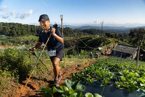 BIB: 199
                            <button type="button" onclick="openModal(19196136)" class="btn btn-primary btn-sm float-right btn-popup" data-toggle="modal" data-target=".modal-high-quality">
                        <i class="fas fa-shopping-cart"></i> Add to Cart
                    </button>
                                            <button type="button" onclick="isThisMe(19196136, true)" class="btn btn-success btn-sm float-right btn-popup btn-isme hidden" data-toggle="tooltip" data-placement="bottom" title="นี่คือรูปของคุณใช่ไหม คลิกที่นี่เพื่อเอาเข้าอัลบั้ม">
                        <i class="fas fa-plus"></i> Add to album
                    </button>
                    <button type="button" onclick="isThisMe(19196136, false)" class="btn btn-warning btn-sm float-right btn-popup btn-isnotme hidden">
                        <i class="fas fa-ban"></i> Remove from album
                    </button>