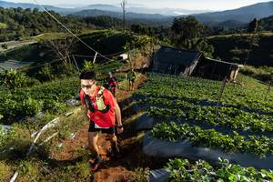 BIB: 
                            <button type="button" onclick="openModal(19180458)" class="btn btn-primary btn-sm float-right btn-popup" data-toggle="modal" data-target=".modal-high-quality">
                        <i class="fas fa-shopping-cart"></i> Add to Cart
                    </button>
                                            <button type="button" onclick="isThisMe(19180458, true)" class="btn btn-success btn-sm float-right btn-popup btn-isme hidden" data-toggle="tooltip" data-placement="bottom" title="นี่คือรูปของคุณใช่ไหม คลิกที่นี่เพื่อเอาเข้าอัลบั้ม">
                        <i class="fas fa-plus"></i> Add to album
                    </button>
                    <button type="button" onclick="isThisMe(19180458, false)" class="btn btn-warning btn-sm float-right btn-popup btn-isnotme hidden">
                        <i class="fas fa-ban"></i> Remove from album
                    </button>