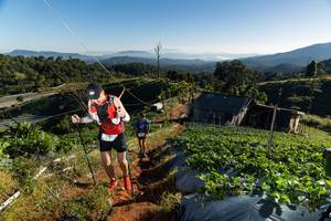 BIB: 
                            <button type="button" onclick="openModal(19180184)" class="btn btn-primary btn-sm float-right btn-popup" data-toggle="modal" data-target=".modal-high-quality">
                        <i class="fas fa-shopping-cart"></i> Add to Cart
                    </button>
                                            <button type="button" onclick="isThisMe(19180184, true)" class="btn btn-success btn-sm float-right btn-popup btn-isme hidden" data-toggle="tooltip" data-placement="bottom" title="นี่คือรูปของคุณใช่ไหม คลิกที่นี่เพื่อเอาเข้าอัลบั้ม">
                        <i class="fas fa-plus"></i> Add to album
                    </button>
                    <button type="button" onclick="isThisMe(19180184, false)" class="btn btn-warning btn-sm float-right btn-popup btn-isnotme hidden">
                        <i class="fas fa-ban"></i> Remove from album
                    </button>