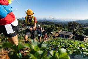 BIB: 
                            <button type="button" onclick="openModal(19197659)" class="btn btn-primary btn-sm float-right btn-popup" data-toggle="modal" data-target=".modal-high-quality">
                        <i class="fas fa-shopping-cart"></i> Add to Cart
                    </button>
                                            <button type="button" onclick="isThisMe(19197659, true)" class="btn btn-success btn-sm float-right btn-popup btn-isme hidden" data-toggle="tooltip" data-placement="bottom" title="นี่คือรูปของคุณใช่ไหม คลิกที่นี่เพื่อเอาเข้าอัลบั้ม">
                        <i class="fas fa-plus"></i> Add to album
                    </button>
                    <button type="button" onclick="isThisMe(19197659, false)" class="btn btn-warning btn-sm float-right btn-popup btn-isnotme hidden">
                        <i class="fas fa-ban"></i> Remove from album
                    </button>