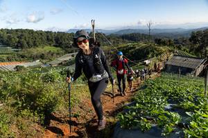 BIB: 2016
                            <button type="button" onclick="openModal(19196538)" class="btn btn-primary btn-sm float-right btn-popup" data-toggle="modal" data-target=".modal-high-quality">
                        <i class="fas fa-shopping-cart"></i> Add to Cart
                    </button>
                                            <button type="button" onclick="isThisMe(19196538, true)" class="btn btn-success btn-sm float-right btn-popup btn-isme hidden" data-toggle="tooltip" data-placement="bottom" title="นี่คือรูปของคุณใช่ไหม คลิกที่นี่เพื่อเอาเข้าอัลบั้ม">
                        <i class="fas fa-plus"></i> Add to album
                    </button>
                    <button type="button" onclick="isThisMe(19196538, false)" class="btn btn-warning btn-sm float-right btn-popup btn-isnotme hidden">
                        <i class="fas fa-ban"></i> Remove from album
                    </button>