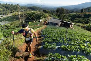 BIB: 
                            <button type="button" onclick="openModal(19200097)" class="btn btn-primary btn-sm float-right btn-popup" data-toggle="modal" data-target=".modal-high-quality">
                        <i class="fas fa-shopping-cart"></i> Add to Cart
                    </button>
                                            <button type="button" onclick="isThisMe(19200097, true)" class="btn btn-success btn-sm float-right btn-popup btn-isme hidden" data-toggle="tooltip" data-placement="bottom" title="นี่คือรูปของคุณใช่ไหม คลิกที่นี่เพื่อเอาเข้าอัลบั้ม">
                        <i class="fas fa-plus"></i> Add to album
                    </button>
                    <button type="button" onclick="isThisMe(19200097, false)" class="btn btn-warning btn-sm float-right btn-popup btn-isnotme hidden">
                        <i class="fas fa-ban"></i> Remove from album
                    </button>