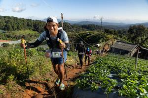 BIB: 9274
                            <button type="button" onclick="openModal(19196536)" class="btn btn-primary btn-sm float-right btn-popup" data-toggle="modal" data-target=".modal-high-quality">
                        <i class="fas fa-shopping-cart"></i> Add to Cart
                    </button>
                                            <button type="button" onclick="isThisMe(19196536, true)" class="btn btn-success btn-sm float-right btn-popup btn-isme hidden" data-toggle="tooltip" data-placement="bottom" title="นี่คือรูปของคุณใช่ไหม คลิกที่นี่เพื่อเอาเข้าอัลบั้ม">
                        <i class="fas fa-plus"></i> Add to album
                    </button>
                    <button type="button" onclick="isThisMe(19196536, false)" class="btn btn-warning btn-sm float-right btn-popup btn-isnotme hidden">
                        <i class="fas fa-ban"></i> Remove from album
                    </button>