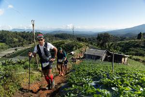 BIB: 2646
                            <button type="button" onclick="openModal(19200142)" class="btn btn-primary btn-sm float-right btn-popup" data-toggle="modal" data-target=".modal-high-quality">
                        <i class="fas fa-shopping-cart"></i> Add to Cart
                    </button>
                                            <button type="button" onclick="isThisMe(19200142, true)" class="btn btn-success btn-sm float-right btn-popup btn-isme hidden" data-toggle="tooltip" data-placement="bottom" title="นี่คือรูปของคุณใช่ไหม คลิกที่นี่เพื่อเอาเข้าอัลบั้ม">
                        <i class="fas fa-plus"></i> Add to album
                    </button>
                    <button type="button" onclick="isThisMe(19200142, false)" class="btn btn-warning btn-sm float-right btn-popup btn-isnotme hidden">
                        <i class="fas fa-ban"></i> Remove from album
                    </button>