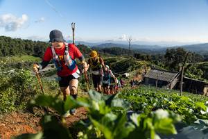 BIB: 
                            <button type="button" onclick="openModal(19197608)" class="btn btn-primary btn-sm float-right btn-popup" data-toggle="modal" data-target=".modal-high-quality">
                        <i class="fas fa-shopping-cart"></i> Add to Cart
                    </button>
                                            <button type="button" onclick="isThisMe(19197608, true)" class="btn btn-success btn-sm float-right btn-popup btn-isme hidden" data-toggle="tooltip" data-placement="bottom" title="นี่คือรูปของคุณใช่ไหม คลิกที่นี่เพื่อเอาเข้าอัลบั้ม">
                        <i class="fas fa-plus"></i> Add to album
                    </button>
                    <button type="button" onclick="isThisMe(19197608, false)" class="btn btn-warning btn-sm float-right btn-popup btn-isnotme hidden">
                        <i class="fas fa-ban"></i> Remove from album
                    </button>