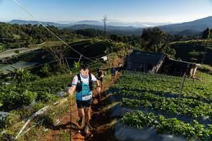 BIB: 
                            <button type="button" onclick="openModal(19180189)" class="btn btn-primary btn-sm float-right btn-popup" data-toggle="modal" data-target=".modal-high-quality">
                        <i class="fas fa-shopping-cart"></i> Add to Cart
                    </button>
                                            <button type="button" onclick="isThisMe(19180189, true)" class="btn btn-success btn-sm float-right btn-popup btn-isme hidden" data-toggle="tooltip" data-placement="bottom" title="นี่คือรูปของคุณใช่ไหม คลิกที่นี่เพื่อเอาเข้าอัลบั้ม">
                        <i class="fas fa-plus"></i> Add to album
                    </button>
                    <button type="button" onclick="isThisMe(19180189, false)" class="btn btn-warning btn-sm float-right btn-popup btn-isnotme hidden">
                        <i class="fas fa-ban"></i> Remove from album
                    </button>