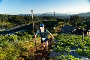 BIB: 
                            <button type="button" onclick="openModal(19173937)" class="btn btn-primary btn-sm float-right btn-popup" data-toggle="modal" data-target=".modal-high-quality">
                        <i class="fas fa-shopping-cart"></i> Add to Cart
                    </button>
                                            <button type="button" onclick="isThisMe(19173937, true)" class="btn btn-success btn-sm float-right btn-popup btn-isme hidden" data-toggle="tooltip" data-placement="bottom" title="นี่คือรูปของคุณใช่ไหม คลิกที่นี่เพื่อเอาเข้าอัลบั้ม">
                        <i class="fas fa-plus"></i> Add to album
                    </button>
                    <button type="button" onclick="isThisMe(19173937, false)" class="btn btn-warning btn-sm float-right btn-popup btn-isnotme hidden">
                        <i class="fas fa-ban"></i> Remove from album
                    </button>