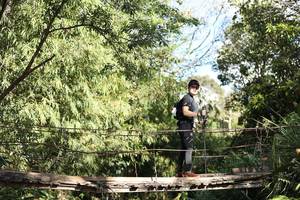 BIB: 
                            <button type="button" onclick="openModal(19216306)" class="btn btn-primary btn-sm float-right btn-popup" data-toggle="modal" data-target=".modal-high-quality">
                        <i class="fas fa-shopping-cart"></i> Add to Cart
                    </button>
                                            <button type="button" onclick="isThisMe(19216306, true)" class="btn btn-success btn-sm float-right btn-popup btn-isme hidden" data-toggle="tooltip" data-placement="bottom" title="นี่คือรูปของคุณใช่ไหม คลิกที่นี่เพื่อเอาเข้าอัลบั้ม">
                        <i class="fas fa-plus"></i> Add to album
                    </button>
                    <button type="button" onclick="isThisMe(19216306, false)" class="btn btn-warning btn-sm float-right btn-popup btn-isnotme hidden">
                        <i class="fas fa-ban"></i> Remove from album
                    </button>