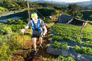 BIB: 
                            <button type="button" onclick="openModal(19174165)" class="btn btn-primary btn-sm float-right btn-popup" data-toggle="modal" data-target=".modal-high-quality">
                        <i class="fas fa-shopping-cart"></i> Add to Cart
                    </button>
                                            <button type="button" onclick="isThisMe(19174165, true)" class="btn btn-success btn-sm float-right btn-popup btn-isme hidden" data-toggle="tooltip" data-placement="bottom" title="นี่คือรูปของคุณใช่ไหม คลิกที่นี่เพื่อเอาเข้าอัลบั้ม">
                        <i class="fas fa-plus"></i> Add to album
                    </button>
                    <button type="button" onclick="isThisMe(19174165, false)" class="btn btn-warning btn-sm float-right btn-popup btn-isnotme hidden">
                        <i class="fas fa-ban"></i> Remove from album
                    </button>