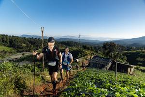 BIB: 9347, 
                            <button type="button" onclick="openModal(19185291)" class="btn btn-primary btn-sm float-right btn-popup" data-toggle="modal" data-target=".modal-high-quality">
                        <i class="fas fa-shopping-cart"></i> Add to Cart
                    </button>
                                            <button type="button" onclick="isThisMe(19185291, true)" class="btn btn-success btn-sm float-right btn-popup btn-isme hidden" data-toggle="tooltip" data-placement="bottom" title="นี่คือรูปของคุณใช่ไหม คลิกที่นี่เพื่อเอาเข้าอัลบั้ม">
                        <i class="fas fa-plus"></i> Add to album
                    </button>
                    <button type="button" onclick="isThisMe(19185291, false)" class="btn btn-warning btn-sm float-right btn-popup btn-isnotme hidden">
                        <i class="fas fa-ban"></i> Remove from album
                    </button>