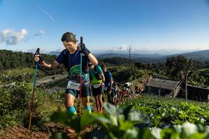 BIB: 
                            <button type="button" onclick="openModal(19197523)" class="btn btn-primary btn-sm float-right btn-popup" data-toggle="modal" data-target=".modal-high-quality">
                        <i class="fas fa-shopping-cart"></i> Add to Cart
                    </button>
                                            <button type="button" onclick="isThisMe(19197523, true)" class="btn btn-success btn-sm float-right btn-popup btn-isme hidden" data-toggle="tooltip" data-placement="bottom" title="นี่คือรูปของคุณใช่ไหม คลิกที่นี่เพื่อเอาเข้าอัลบั้ม">
                        <i class="fas fa-plus"></i> Add to album
                    </button>
                    <button type="button" onclick="isThisMe(19197523, false)" class="btn btn-warning btn-sm float-right btn-popup btn-isnotme hidden">
                        <i class="fas fa-ban"></i> Remove from album
                    </button>