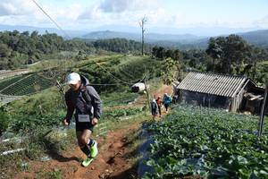 BIB: 
                            <button type="button" onclick="openModal(19201056)" class="btn btn-primary btn-sm float-right btn-popup" data-toggle="modal" data-target=".modal-high-quality">
                        <i class="fas fa-shopping-cart"></i> Add to Cart
                    </button>
                                            <button type="button" onclick="isThisMe(19201056, true)" class="btn btn-success btn-sm float-right btn-popup btn-isme hidden" data-toggle="tooltip" data-placement="bottom" title="นี่คือรูปของคุณใช่ไหม คลิกที่นี่เพื่อเอาเข้าอัลบั้ม">
                        <i class="fas fa-plus"></i> Add to album
                    </button>
                    <button type="button" onclick="isThisMe(19201056, false)" class="btn btn-warning btn-sm float-right btn-popup btn-isnotme hidden">
                        <i class="fas fa-ban"></i> Remove from album
                    </button>