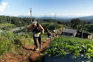 BIB: 
                            <button type="button" onclick="openModal(19199964)" class="btn btn-primary btn-sm float-right btn-popup" data-toggle="modal" data-target=".modal-high-quality">
                        <i class="fas fa-shopping-cart"></i> Add to Cart
                    </button>
                                            <button type="button" onclick="isThisMe(19199964, true)" class="btn btn-success btn-sm float-right btn-popup btn-isme hidden" data-toggle="tooltip" data-placement="bottom" title="นี่คือรูปของคุณใช่ไหม คลิกที่นี่เพื่อเอาเข้าอัลบั้ม">
                        <i class="fas fa-plus"></i> Add to album
                    </button>
                    <button type="button" onclick="isThisMe(19199964, false)" class="btn btn-warning btn-sm float-right btn-popup btn-isnotme hidden">
                        <i class="fas fa-ban"></i> Remove from album
                    </button>