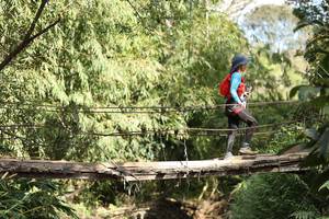 BIB: 
                            <button type="button" onclick="openModal(19215881)" class="btn btn-primary btn-sm float-right btn-popup" data-toggle="modal" data-target=".modal-high-quality">
                        <i class="fas fa-shopping-cart"></i> Add to Cart
                    </button>
                                            <button type="button" onclick="isThisMe(19215881, true)" class="btn btn-success btn-sm float-right btn-popup btn-isme hidden" data-toggle="tooltip" data-placement="bottom" title="นี่คือรูปของคุณใช่ไหม คลิกที่นี่เพื่อเอาเข้าอัลบั้ม">
                        <i class="fas fa-plus"></i> Add to album
                    </button>
                    <button type="button" onclick="isThisMe(19215881, false)" class="btn btn-warning btn-sm float-right btn-popup btn-isnotme hidden">
                        <i class="fas fa-ban"></i> Remove from album
                    </button>