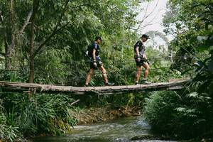 BIB: 
                            <button type="button" onclick="openModal(19210541)" class="btn btn-primary btn-sm float-right btn-popup" data-toggle="modal" data-target=".modal-high-quality">
                        <i class="fas fa-shopping-cart"></i> Add to Cart
                    </button>
                                            <button type="button" onclick="isThisMe(19210541, true)" class="btn btn-success btn-sm float-right btn-popup btn-isme hidden" data-toggle="tooltip" data-placement="bottom" title="นี่คือรูปของคุณใช่ไหม คลิกที่นี่เพื่อเอาเข้าอัลบั้ม">
                        <i class="fas fa-plus"></i> Add to album
                    </button>
                    <button type="button" onclick="isThisMe(19210541, false)" class="btn btn-warning btn-sm float-right btn-popup btn-isnotme hidden">
                        <i class="fas fa-ban"></i> Remove from album
                    </button>