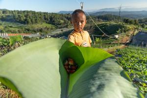 BIB: 
                            <button type="button" onclick="openModal(19176483)" class="btn btn-primary btn-sm float-right btn-popup" data-toggle="modal" data-target=".modal-high-quality">
                        <i class="fas fa-shopping-cart"></i> Add to Cart
                    </button>
                                            <button type="button" onclick="isThisMe(19176483, true)" class="btn btn-success btn-sm float-right btn-popup btn-isme hidden" data-toggle="tooltip" data-placement="bottom" title="นี่คือรูปของคุณใช่ไหม คลิกที่นี่เพื่อเอาเข้าอัลบั้ม">
                        <i class="fas fa-plus"></i> Add to album
                    </button>
                    <button type="button" onclick="isThisMe(19176483, false)" class="btn btn-warning btn-sm float-right btn-popup btn-isnotme hidden">
                        <i class="fas fa-ban"></i> Remove from album
                    </button>